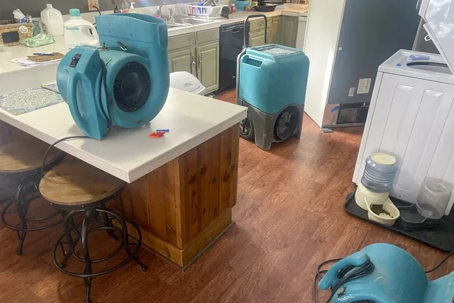 Excellent Water Damage Repair Tampa, FL Excellent Water Damage Repair Tampa, FL